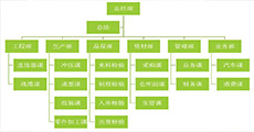 組織結(jié)構(gòu)